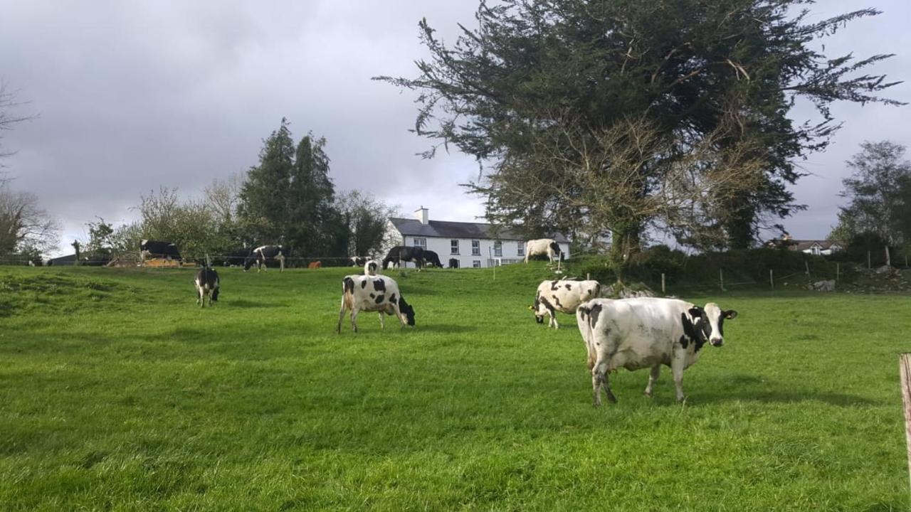Gortamullen House, Kenmare B&B 외부 사진