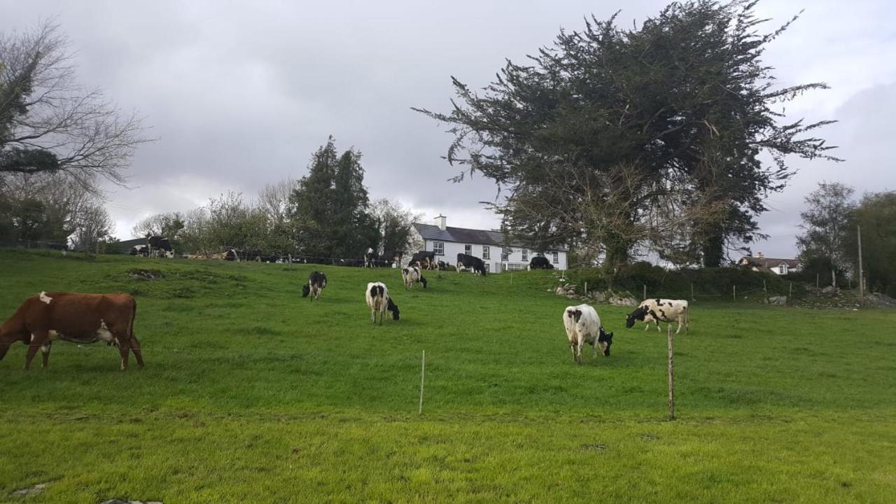 Gortamullen House, Kenmare B&B 외부 사진